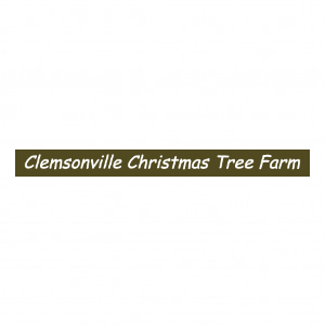 Clemsonville Christmas Tree Farm