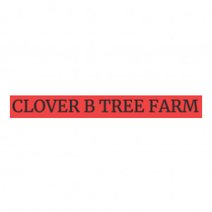 Clover B Tree Farm