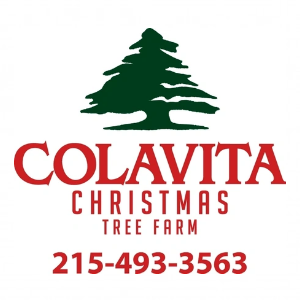 Colavita Christmas Tree Farm