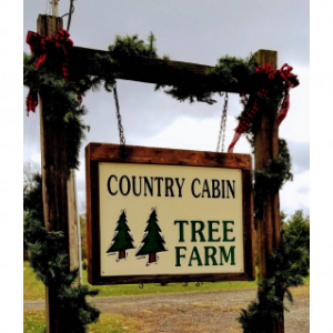 Country Cabin Tree Farm