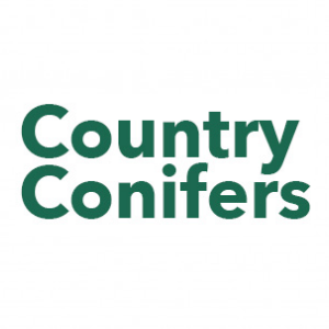 Country Conifers