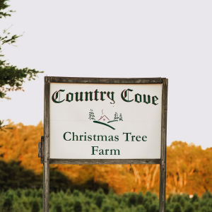 Country Cove Christmas Tree Farm