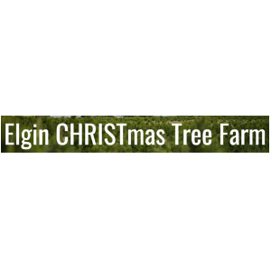 Elgin-Christmas-Tree-Farm