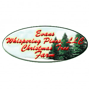 Evans Whispering Pines, LLC Christmas Tree Farm