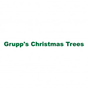 Grupp_s Christmas Trees