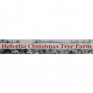 Helvetia Christmas Tree Farm