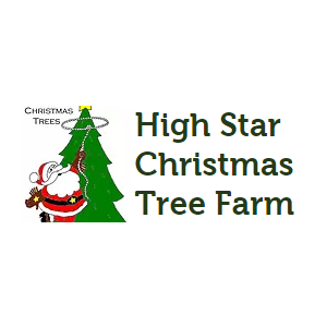 High-Star-Christmas-Tree-Farm