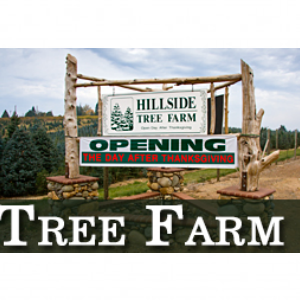 Hillside Tree Farm