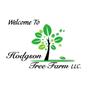 Hodgson Tree Farm LLC