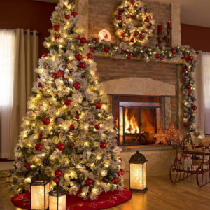 Jolly Christmas Trees