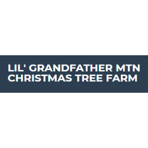 Lil_-Grandfather-Mountain-Christmas-Tree