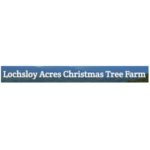 Lochsloy-Acres-Christmas-Tree-Farm