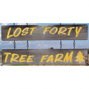 Lost Forty Tree Farm