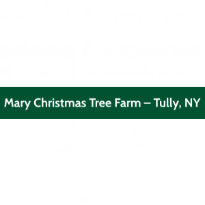 Mary Christmas Tree Farm