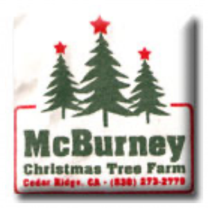 McBurney_s Christmas Tree Farm
