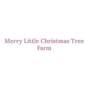 Merry Little Christmas Tree Farm