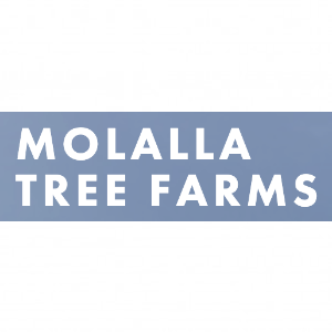 Molalla Tree Farms