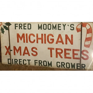 Moomey Christmas Trees