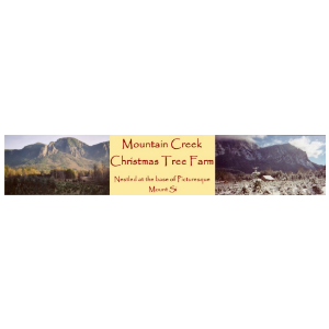 Mountain-Creek-Christmas-Tree-Farm