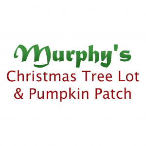 Murphy_s Christmas Tree Lot _ Pumpkin Patch