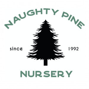 Naughty Pine Nursery