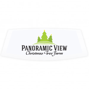 Panoramic View Christmas Tree Farm