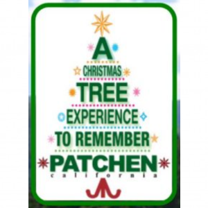 Patchen Christmas Tree Farms