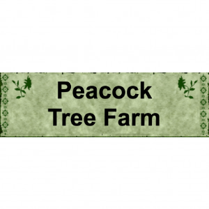 Peacock Tree Farm