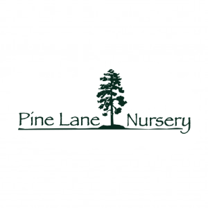 Pine Lane Nursery