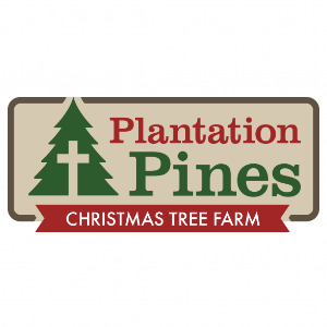 Plantation Pines