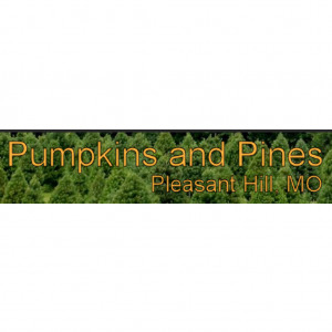 Pumpkins and Pines
