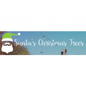 Santa_s Christmas Trees