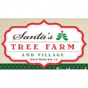 Santa_s Tree Farm and Village