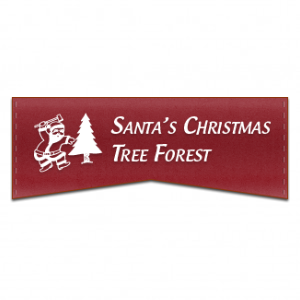 Santa's Christmas Tree Forest