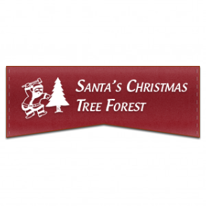 Santa's Christmas Tree Forest