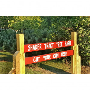 Shaker Tract Tree Farm