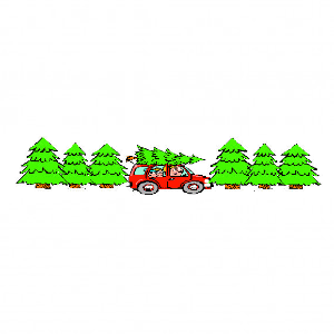 Songer_s Christmas Tree Farm