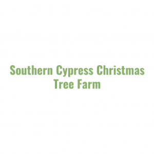 Southern Cypress Christmas Tree Farm