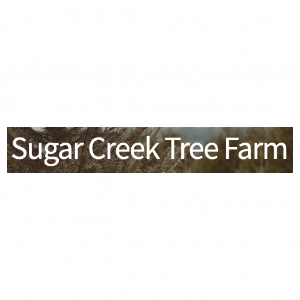 Sugar Creek Tree Farm