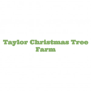 Taylor Christmas Tree Farm
