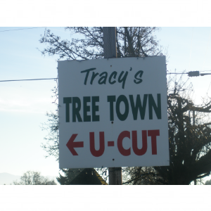 Tracy_s Tree Farm