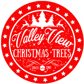 Valley-View-Christmas-Trees