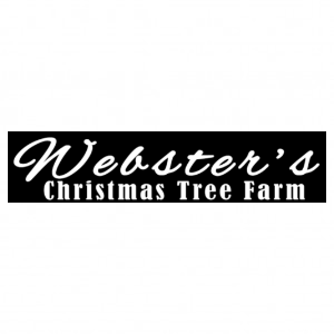 Websters Christmas Tree Farm
