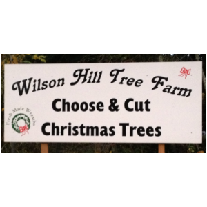 Wilson-Hill-Christmas-Tree-Farm