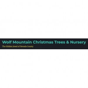 Wolf Mountain Christmas Trees _ Nursery