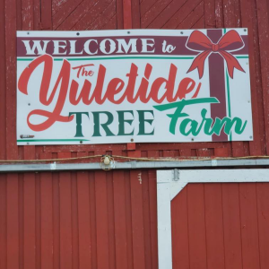 Yuletide Christmas Tree Farm