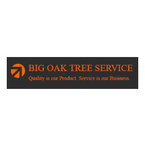 Big-Oak-Tree-Service