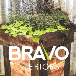 Bravo-Xteriors