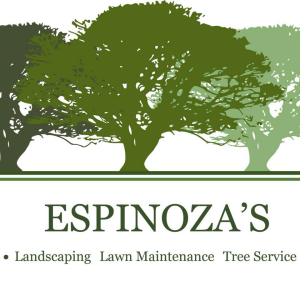 Espinoza_s-Landscaping-Tree Service