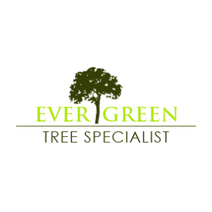 EverGreen-Tree-Specialist